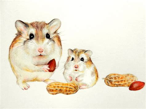 Original Hamster Art Robo Hamster Painting Cute Roborovski