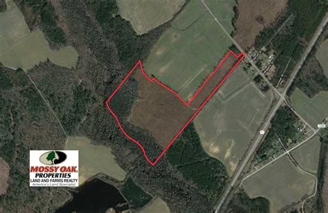 Sold 55 Acres Of Timber And Hunting Land For Sale In Bertie County Nc