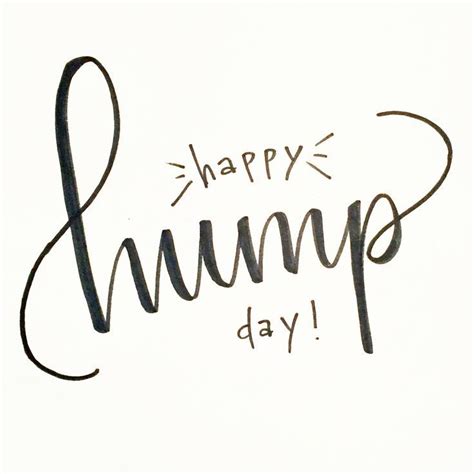 Happy Hump Day Picture Quotes Shortquotes Cc