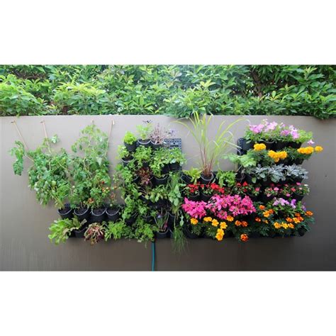 Holman Greenwall Vertical Garden Kit Bunnings Warehouse