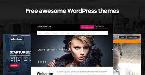 Free Awesome WordPress Themes On Behance