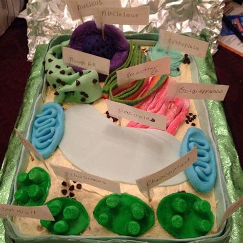 How To Make A Plant Cell Cake With Candy Cake Walls