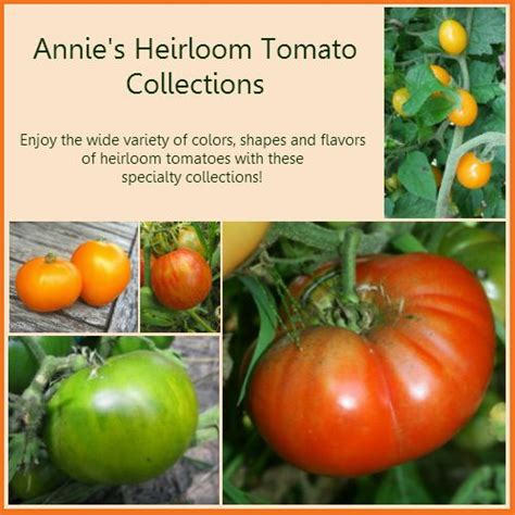 Annies Heirloom Seeds Heirloom Tomato Seeds Heirloom Pepper Seeds