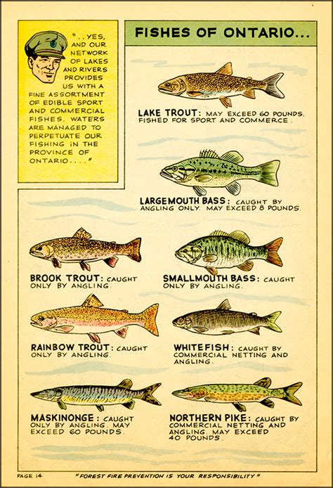 Fish Caught On Record