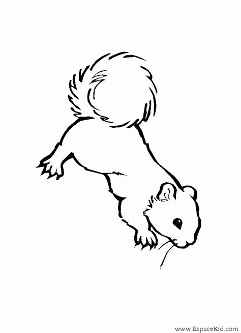 67 Dessins De Coloriage écureuil à Imprimer Sur Page 6