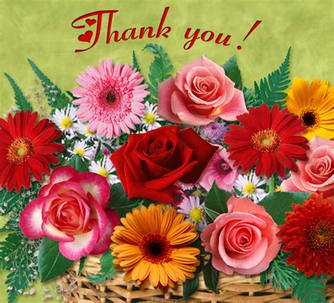 For You Free Flowers Ecards Greeting Cards 123 Greetings