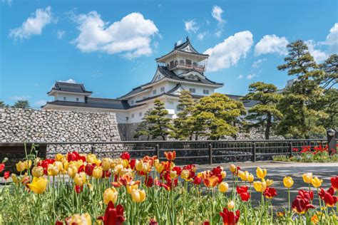 Top 5 Things To See In Toyama