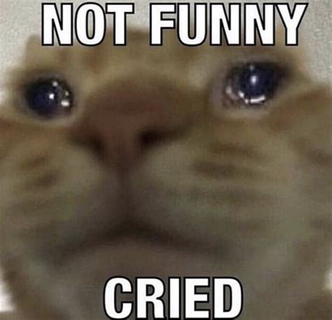 Not Funny Cried Not Funny Didn T Laugh Know Your Meme