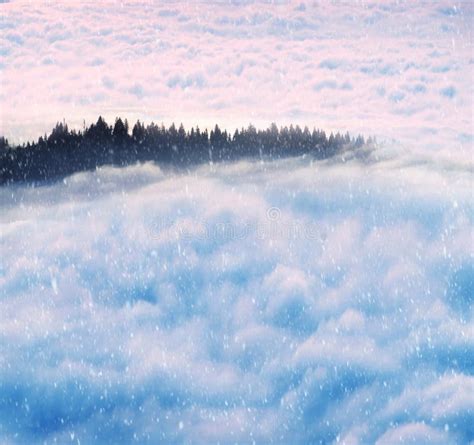 Misty Sea Carpathians Stock Image Image Of Mountain 78695699