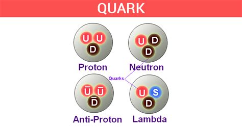 Quarks Study Guide Inspirit