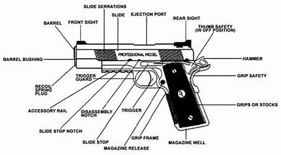 1911 Parts Schematic Firearms M1911 Firing Pistols