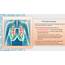 Asthma Pathophysiology & Diagnosis  A Synopsis