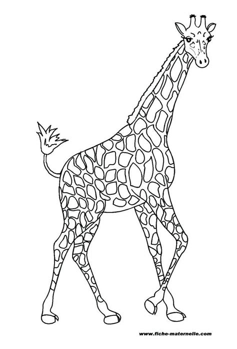 Coloriages Girafe A Coloriage Girafette Coloriage Girafe Dessin
