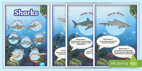 Ks2 Shark Information Posters Teacher Made Twinkl