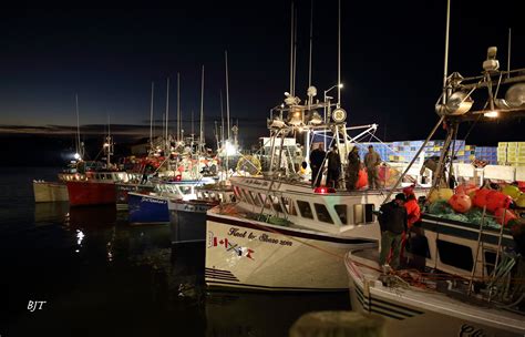 Dumping Day Marks The Start Of Canadas Largest Lobster Fishing