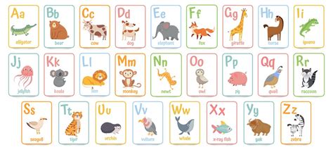 Alphabet Cards For Kids Educational Preschool Learning Abc Card With
