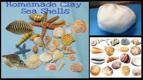 How To Make Sea Shells Using Homemade Air Dry Clay Clay Craft