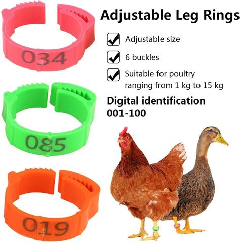 Pack Of 100 Leg Ring Marking Leg Spiral Ring Plastic Poultry Leg Rings