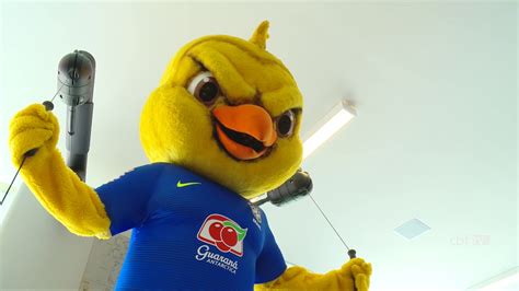 Canarinho Se Prepara Para Os Próximos Jogos Da Seleção Brasileira Youtube