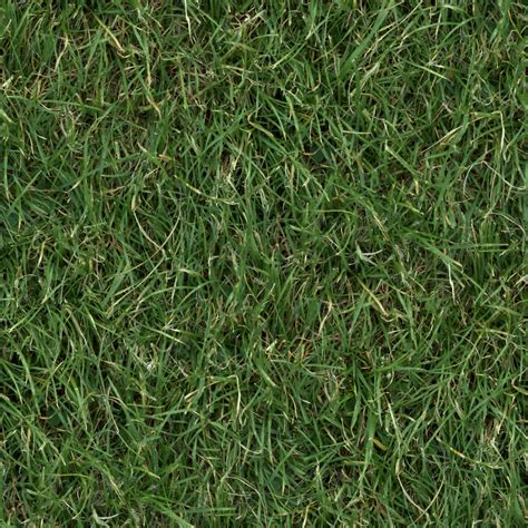 High Resolution Textures Grass 3 Turf Lawn Green Ground Field Texture