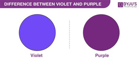Difference Between Violet And Purple Newtons Color Wheel