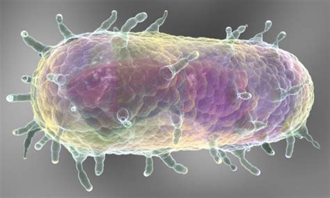 We did not find results for: China Seals Off City Of 30,000 People After Man Dies Of ...