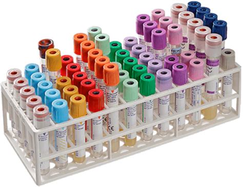 Bd Vacutainer Tube Guide Wall Chart Online Shopping Sexiz Pix