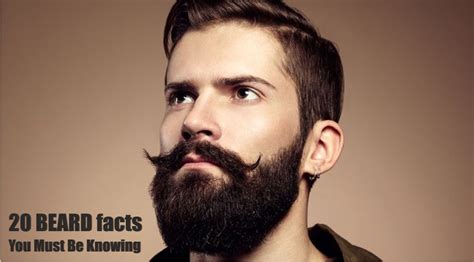 20 Beard Facts That Every Guy Should Know Estilos Barba Y Bigote Vello Facial Masculino