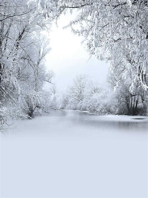 8x8ft Winter Snow Tree Photography Backgrounds Portable