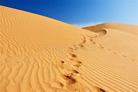 Sand Dunes In Sahara Stock Photo Image Of Mountain Outdoor 24352578