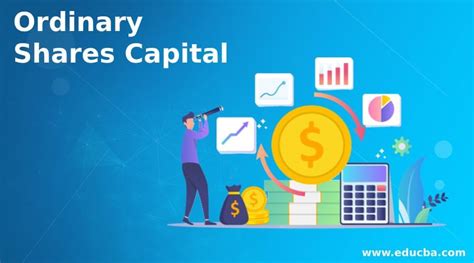Ordinary Shares Capital | Examples with Advantages and Disadvantages