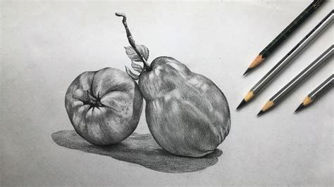 Pears Drawing In Pencil Fruit Drawing Pencil Sketch For Beginners
