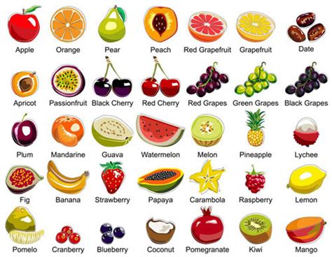 An alphabetized list of fruits and veggies. English Reading Practice: What Happens to Your Body When ...