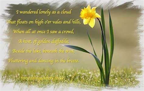Daffodil Quote For Reading Addicts