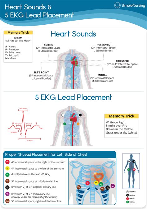 Ekg Ecg Simple Nursing Heart Sounds And 5 Ekg Lead Placement Heart
