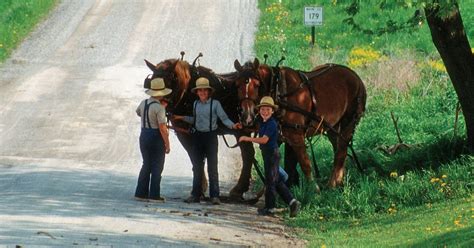Fredericksburg Ohios Amish Country