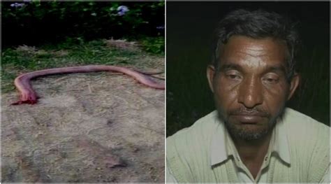 India Man Bites Snake To Death In Revenge After Being Bitten