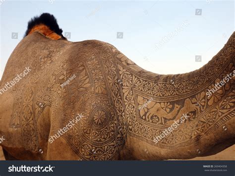 Camel Skin Work Stock Photo 269404358 Shutterstock