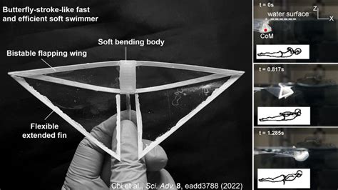 Fastest Swimming Robot Created Inspired By Manta Ray Daily Science Digest