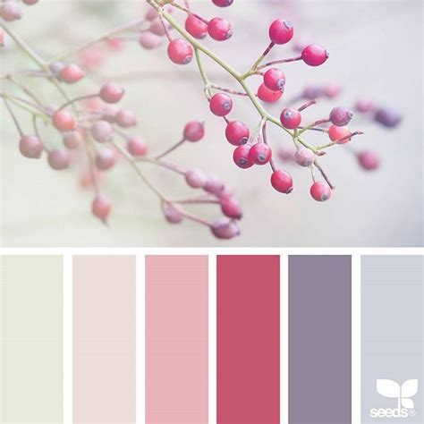 Candied Sky With Images Seeds Color Design Seeds Color Palette