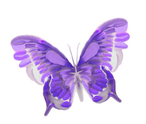Papillonspngbutterflytubesborboletamariposa