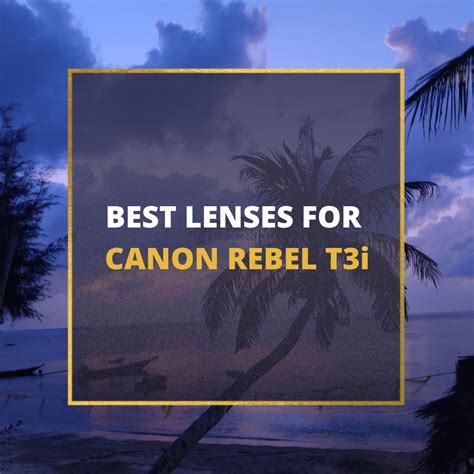 The Ultimate Lens Buying Guides Best Canon And Nikon Lenses Reviews