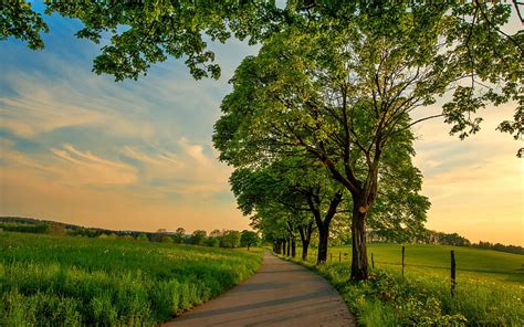 1920x1080px 1080p Free Download Summer Road Summer Fields Trees