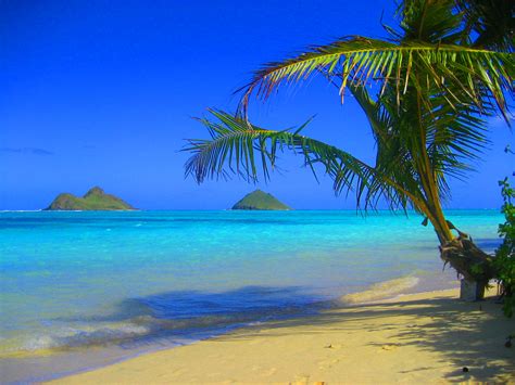 Пляжи Гавайских Островов 57 фото