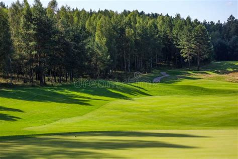 Landscape Golf Course Green Grass On The Background Of A Forest And