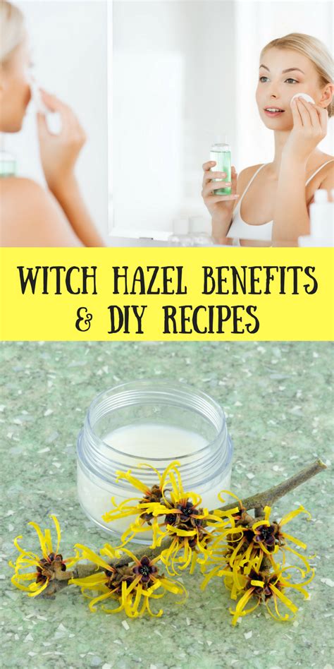 11 Witch Hazel Uses And Benefits Natural Skin Care Moisturizer Witch