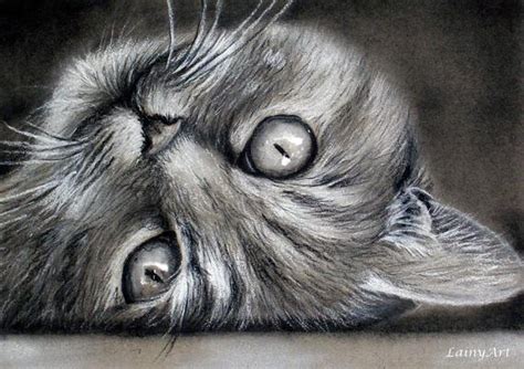 Custom Cat Drawing From Your Photo 5x7 Realistic Hand