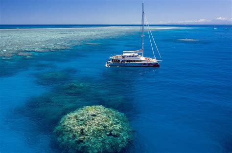 Great Barrier Reef Snorkel And Dive Cruise Mustang Travel