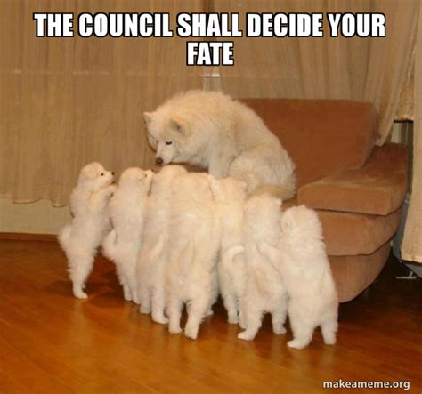 The Council Shall Decide Your Fate Storytelling Dog Make A Meme
