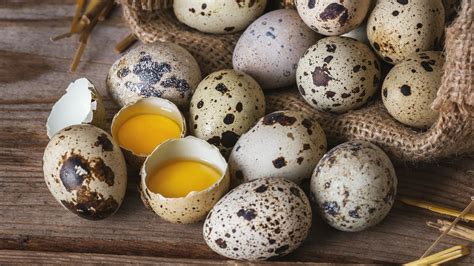 Sú prepeličie vajcia vítané v našej strave Ako ich pripraviť